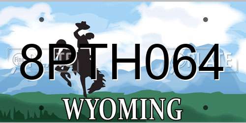 8PTH064 Wyoming License Plate