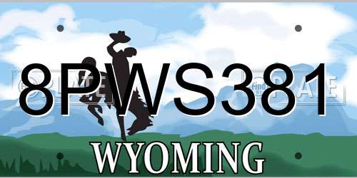 8PWS381 Wyoming License Plate