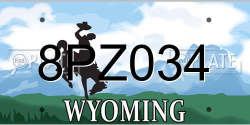 8PZ034 Wyoming License Plate