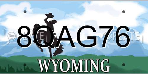 8QAG76 Wyoming License Plate