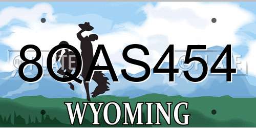 8QAS454 Wyoming License Plate