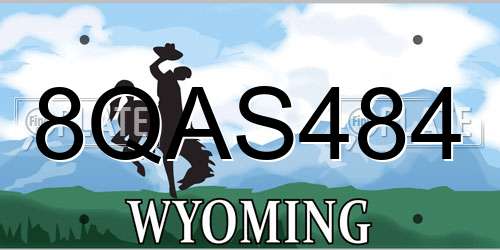 8QAS484 Wyoming License Plate