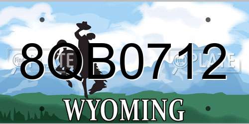 8QB0712 Wyoming License Plate