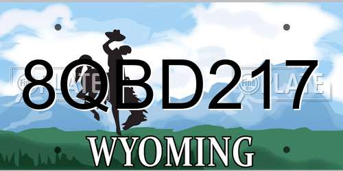 8QBD217 Wyoming License Plate