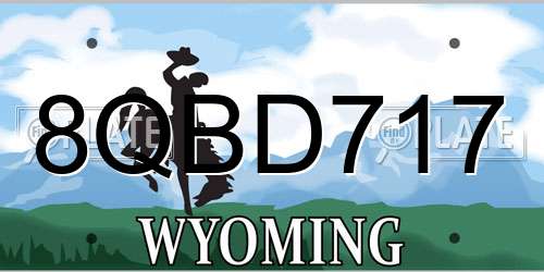 8QBD717 Wyoming License Plate