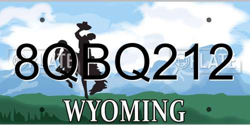 8QBQ212 Wyoming License Plate
