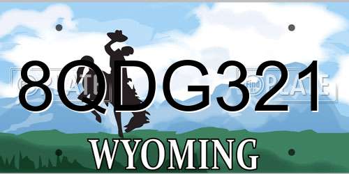 8QDG321 Wyoming License Plate