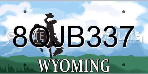 8QJB337 Wyoming License Plate