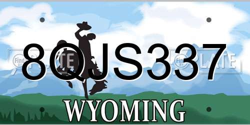 8QJS337 Wyoming License Plate