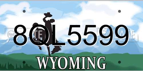 8QL5599 Wyoming License Plate