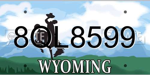 8QL8599 Wyoming License Plate