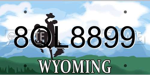 8QL8899 Wyoming License Plate