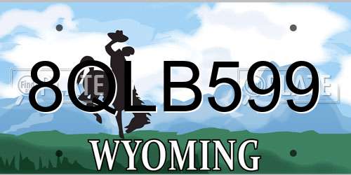 8QLB599 Wyoming License Plate