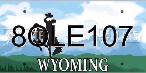 8QLE107 Wyoming License Plate