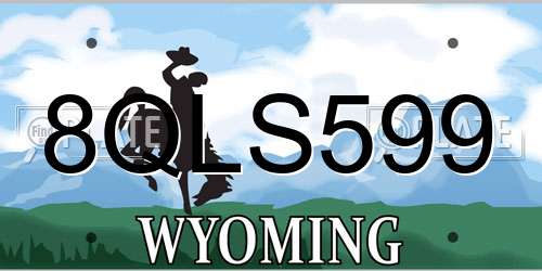 8QLS599 Wyoming License Plate