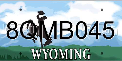 8QMB045 Wyoming License Plate