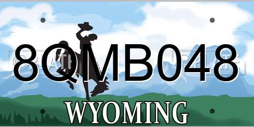 8QMB048 Wyoming License Plate