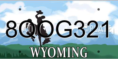 8QOG321 Wyoming License Plate