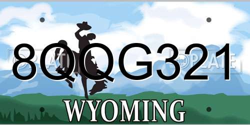 8QQG321 Wyoming License Plate