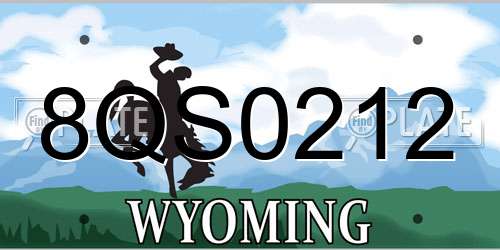 8QS0212 Wyoming License Plate
