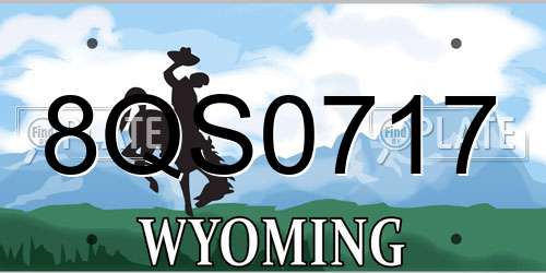 8QS0717 Wyoming License Plate