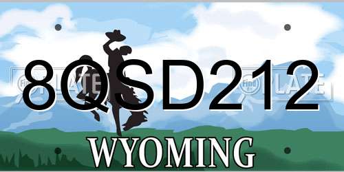 8QSD212 Wyoming License Plate