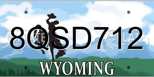 8QSD712 Wyoming License Plate