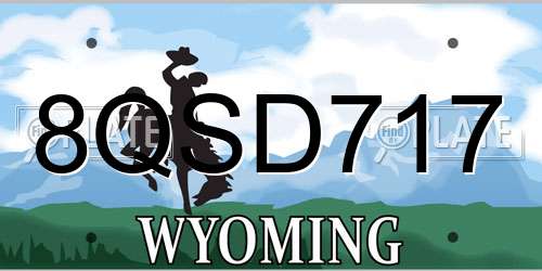 8QSD717 Wyoming License Plate