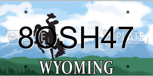 8QSH47 Wyoming License Plate