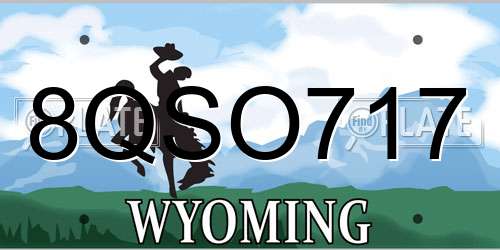 8QSO717 Wyoming License Plate