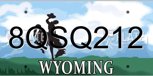 8QSQ212 Wyoming License Plate