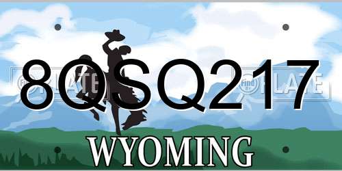 8QSQ217 Wyoming License Plate