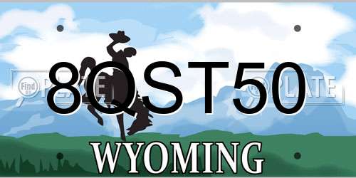 8QST50 Wyoming License Plate