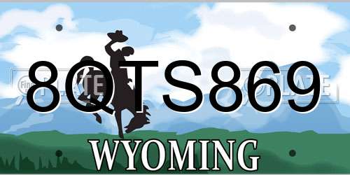 8QTS869 Wyoming License Plate