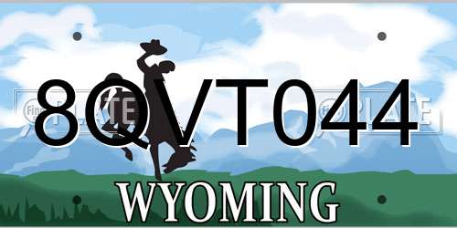 8QVT044 Wyoming License Plate