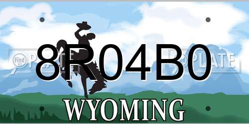 8R04B0 Wyoming License Plate
