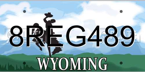 8REG489 Wyoming License Plate