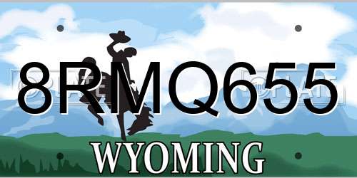 8RMQ655 Wyoming License Plate