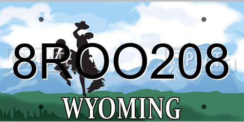 8ROO208 Wyoming License Plate