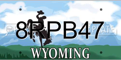 8RPB47 Wyoming License Plate