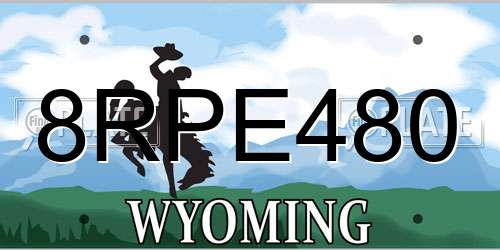 8RPE480 Wyoming License Plate