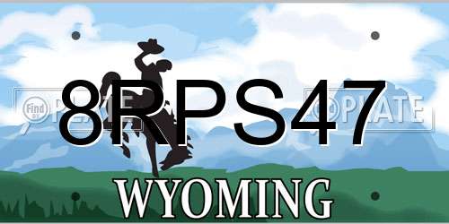 8RPS47 Wyoming License Plate