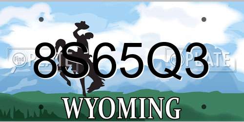 8S65Q3 Wyoming License Plate
