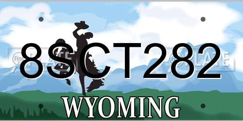 8SCT282 Wyoming License Plate