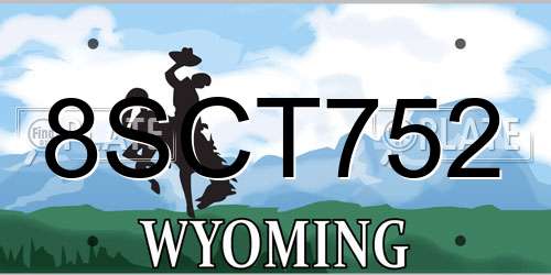 8SCT752 Wyoming License Plate