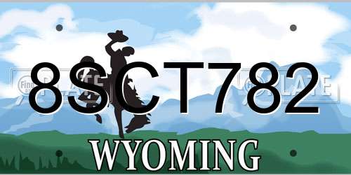 8SCT782 Wyoming License Plate