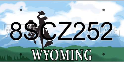 8SCZ252 Wyoming License Plate
