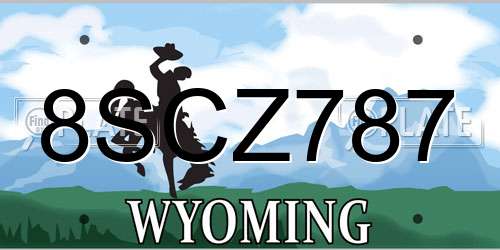 8SCZ787 Wyoming License Plate