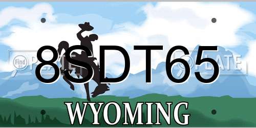8SDT65 Wyoming License Plate