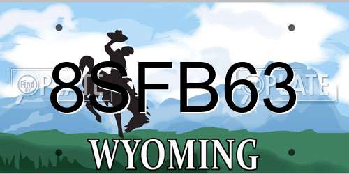 8SFB63 Wyoming License Plate
